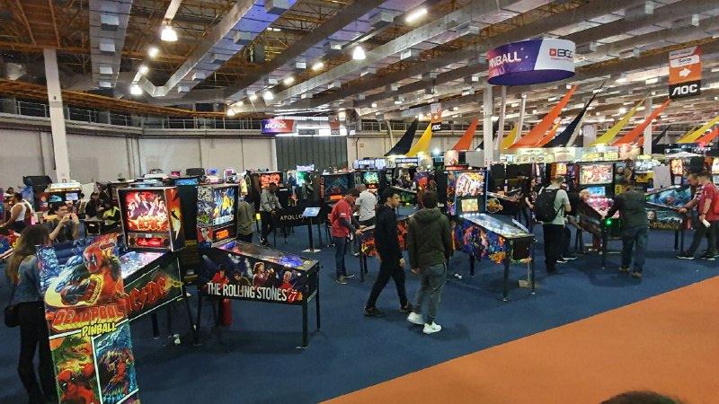 BGS 2019