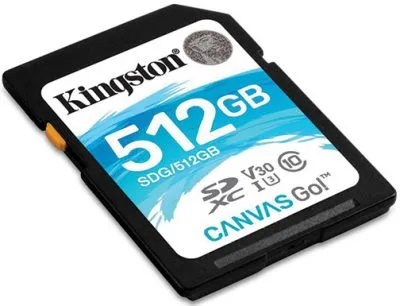 Kingston Canvas Go!