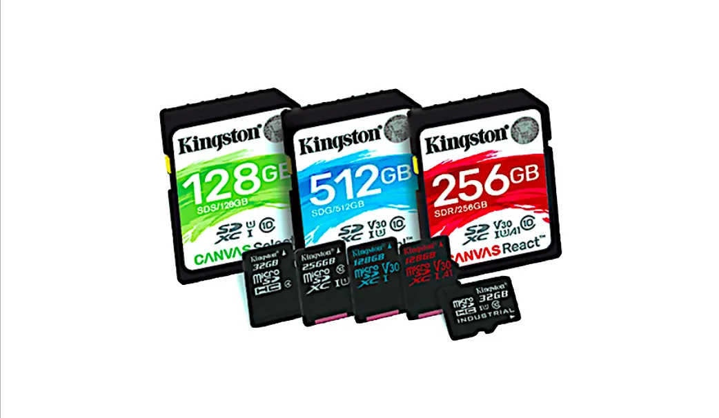 kingston canvas